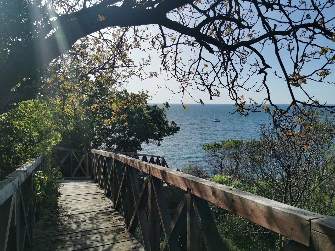 Гостевой дом Лавровый Сад Алупка-70