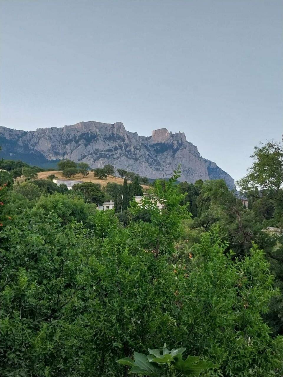 Гостевой дом Лавровый Сад Алупка-243