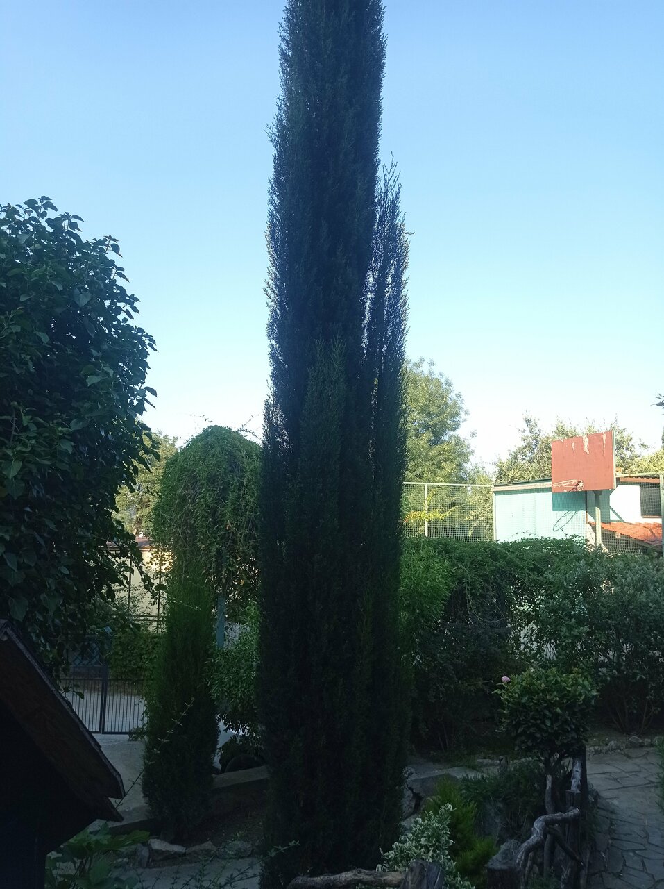 Гостевой дом Лавровый Сад Алупка-15