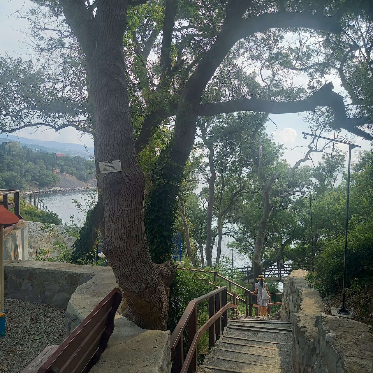 Гостевой дом Лавровый Сад Алупка-99