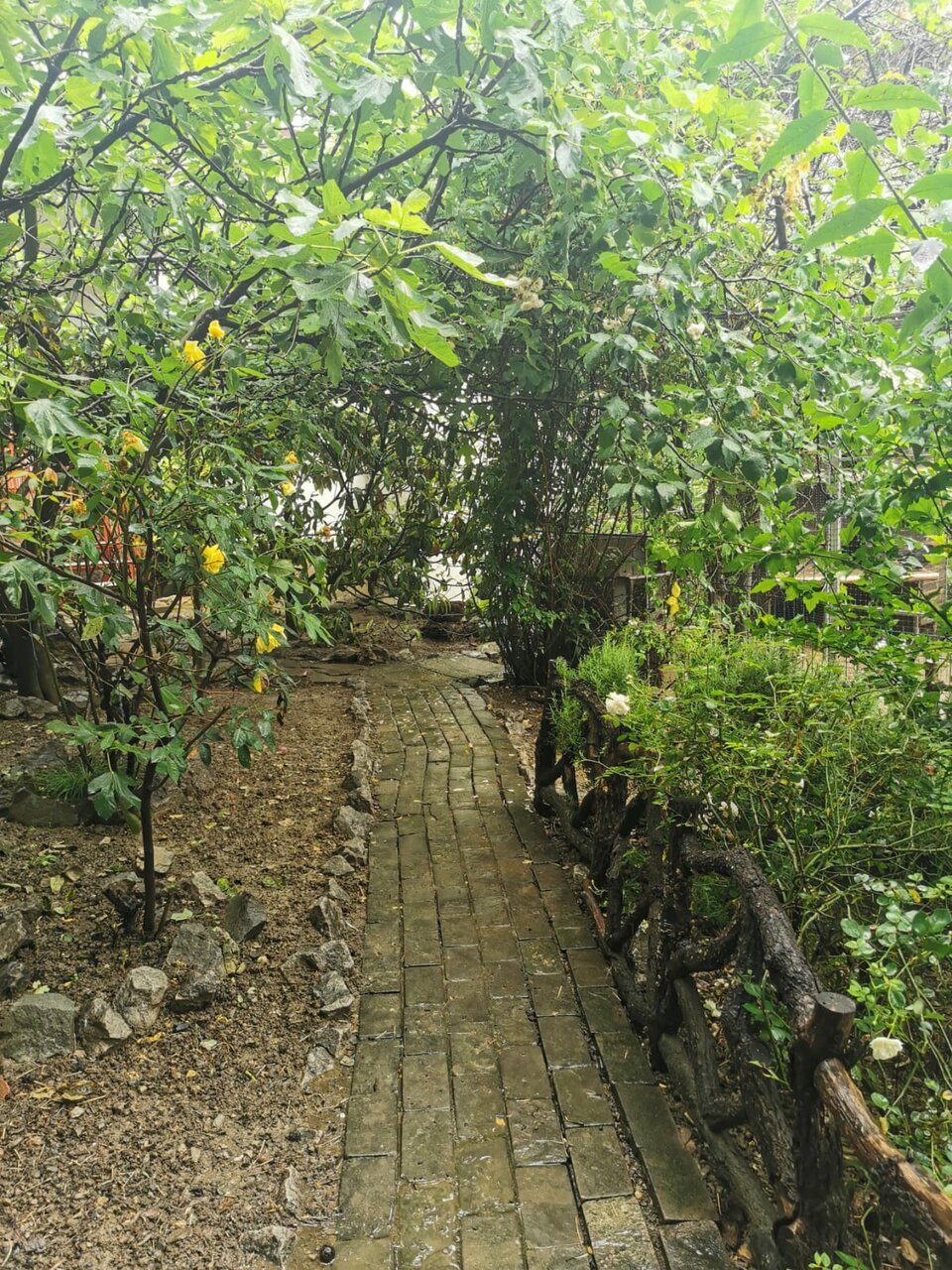 Гостевой дом Лавровый Сад Алупка-65