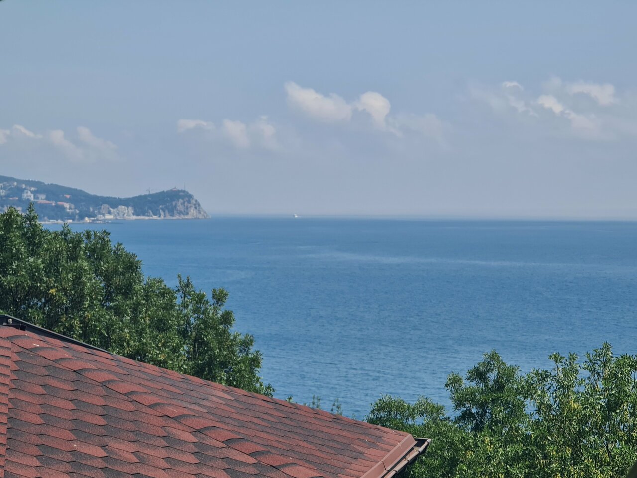 Гостевой дом Лавровый Сад Алупка-10