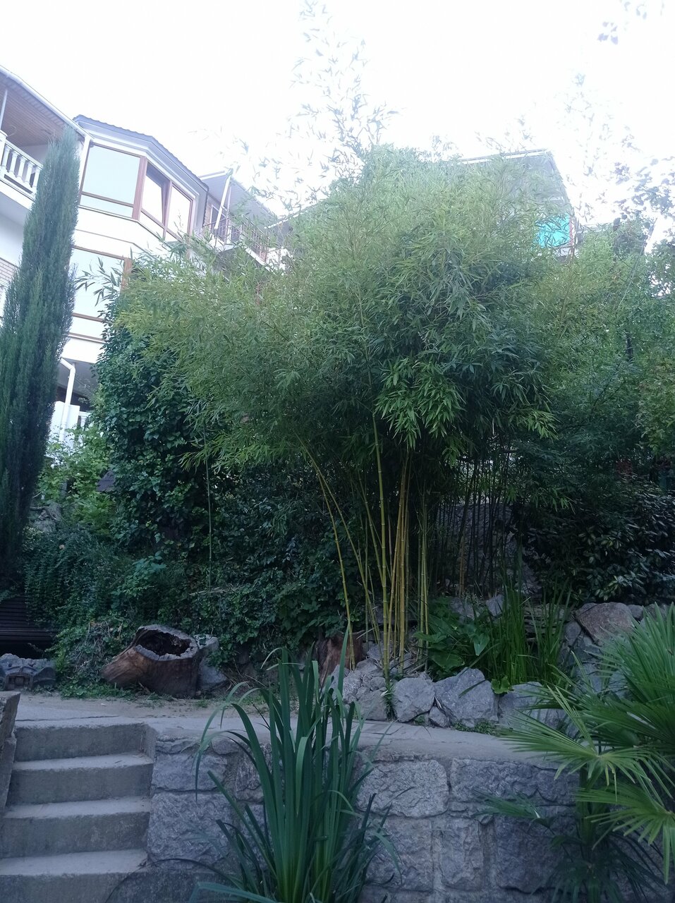 Гостевой дом Лавровый Сад Алупка-45