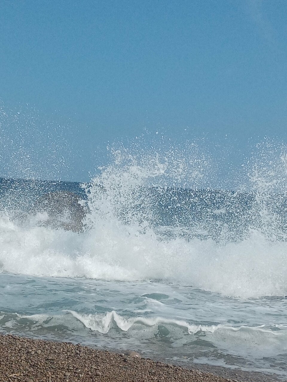 Гостевой дом Лавровый Сад Алупка-210