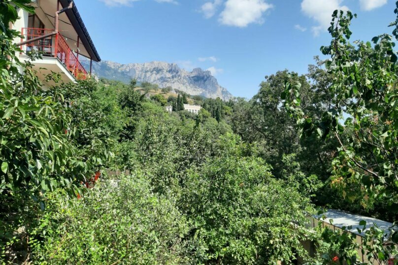 Гостевой дом Лавровый Сад Алупка-95