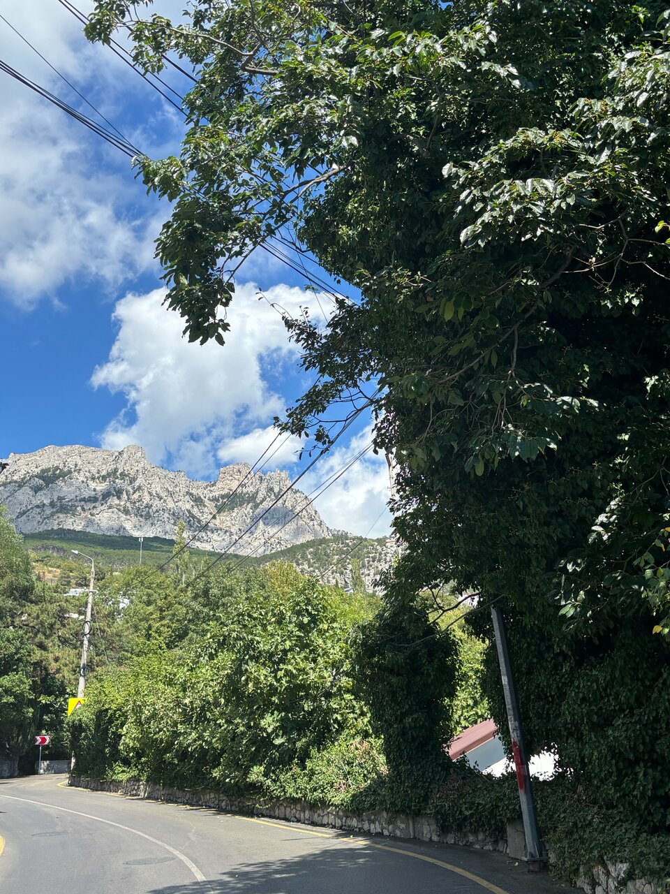 Гостевой дом Лавровый Сад Алупка-238