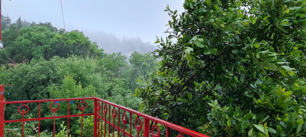 Гостевой дом Лавровый Сад Алупка-87