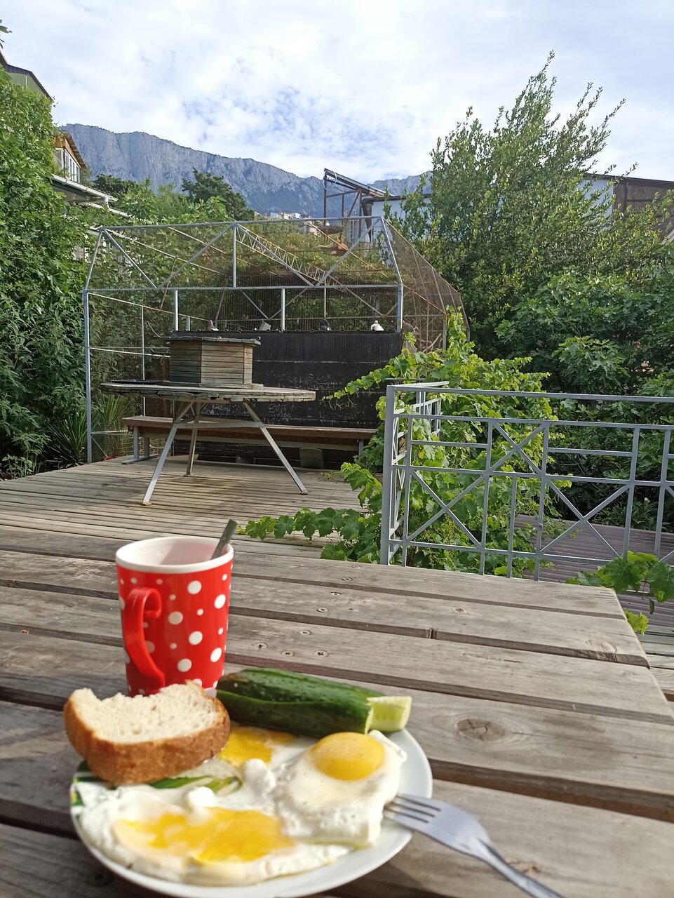 Гостевой дом Лавровый Сад Алупка-32