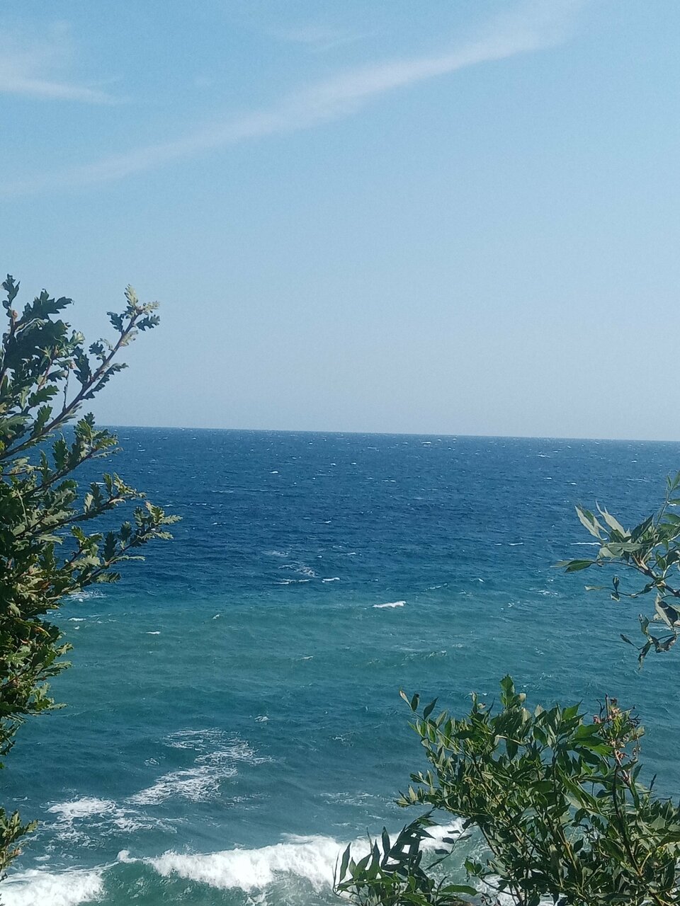 Гостевой дом Лавровый Сад Алупка-234