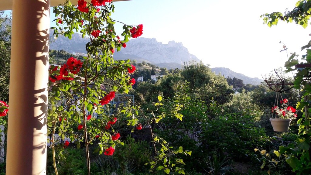 Гостевой дом Лавровый Сад Алупка-58