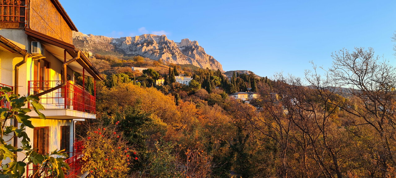 Гостевой дом Лавровый Сад Алупка-230