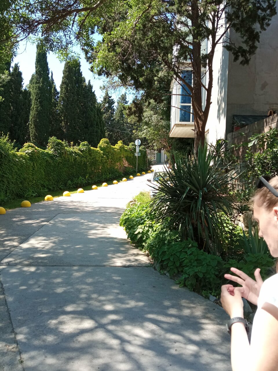 Гостевой дом Лавровый Сад Алупка-60