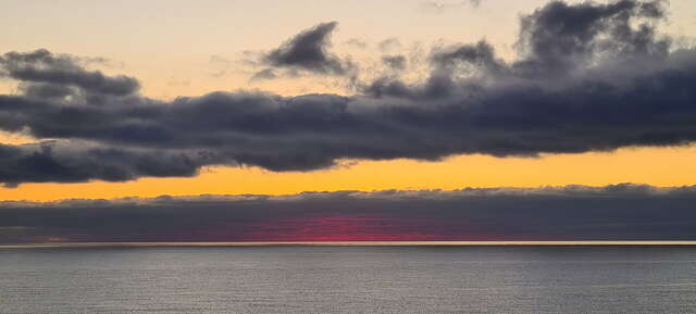 Гостевой дом Лавровый Сад Алупка-228