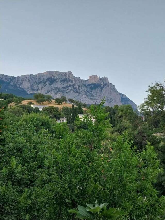 Гостевой дом Лавровый Сад Алупка-242