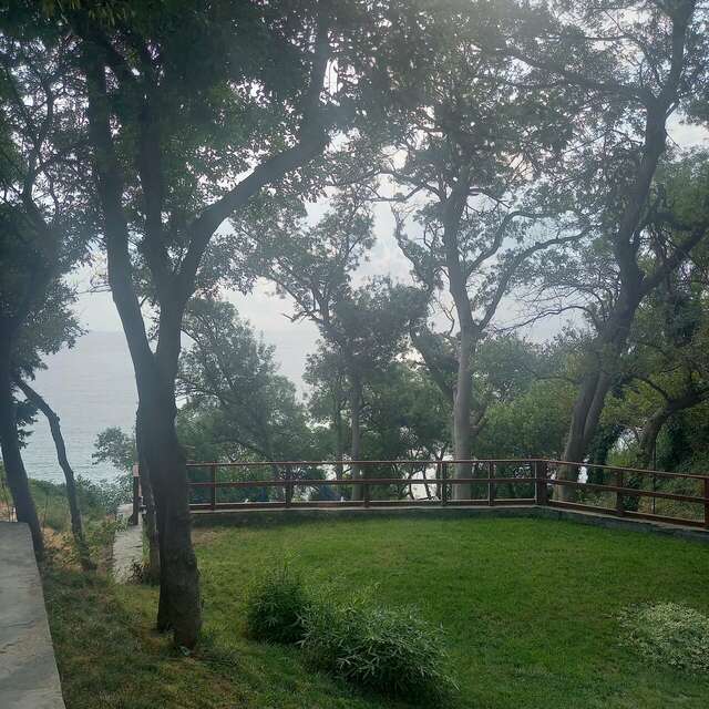 Гостевой дом Лавровый Сад Алупка-24