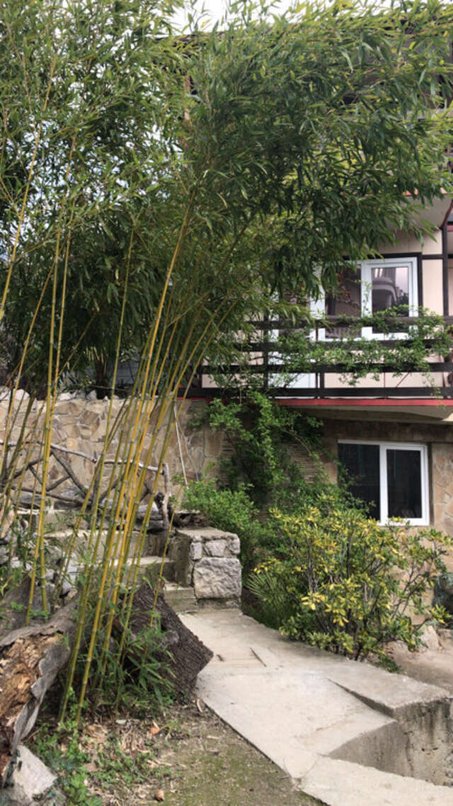 Гостевой дом Лавровый Сад Алупка-83