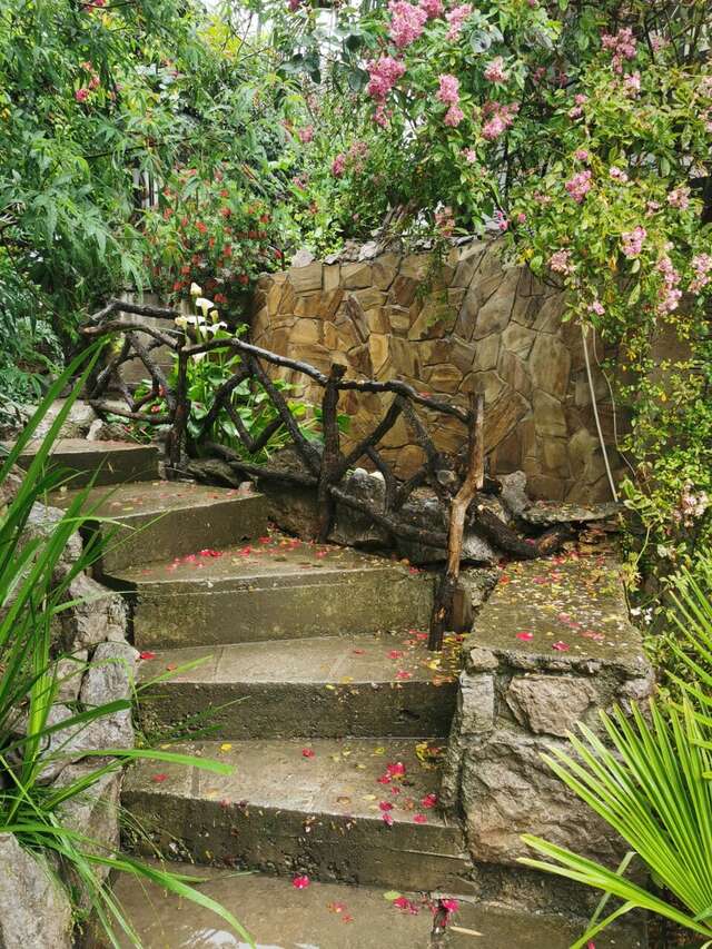 Гостевой дом Лавровый Сад Алупка-38