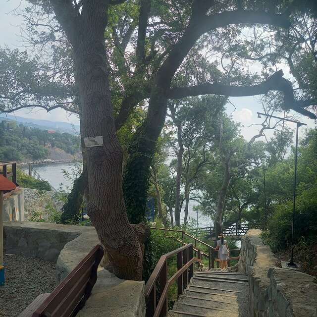 Гостевой дом Лавровый Сад Алупка-98