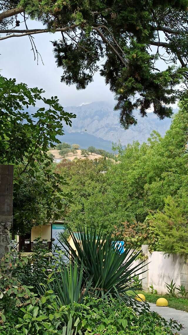 Гостевой дом Лавровый Сад Алупка-103