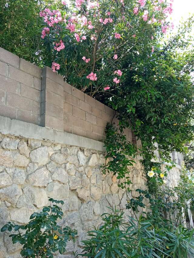 Гостевой дом Лавровый Сад Алупка-48