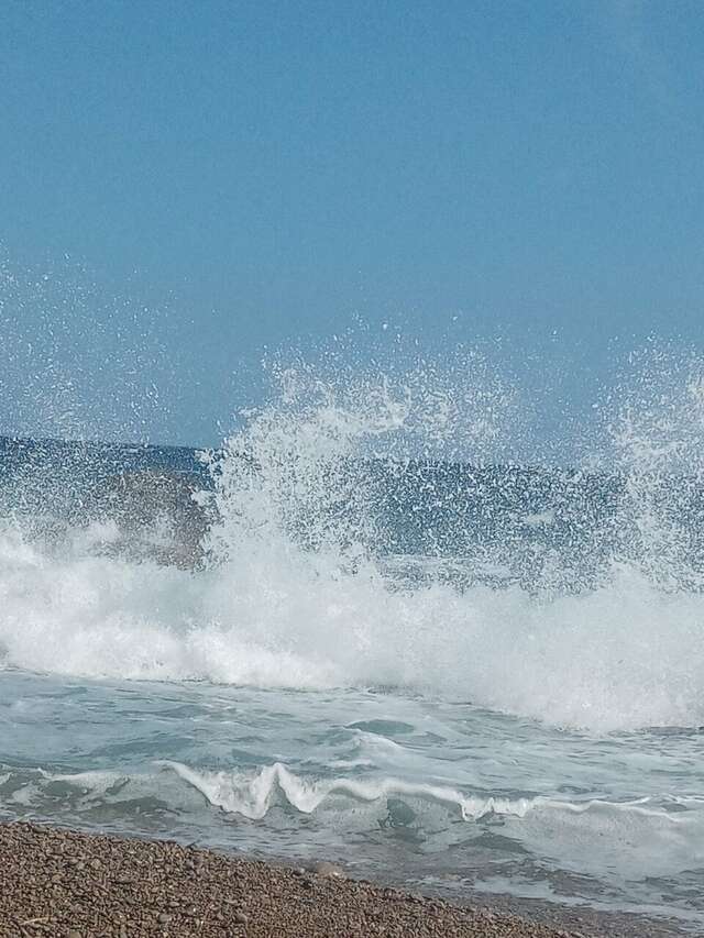 Гостевой дом Лавровый Сад Алупка-209