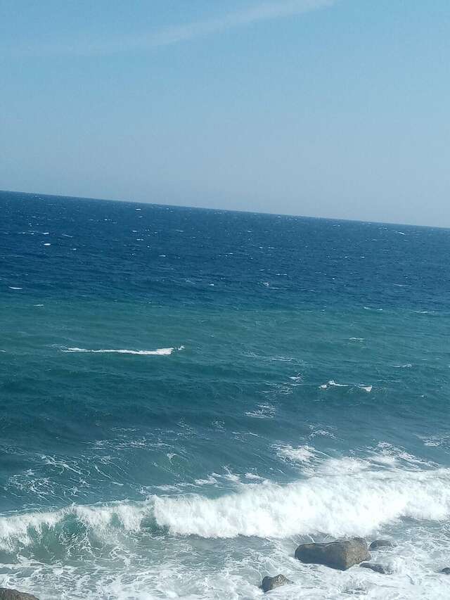 Гостевой дом Лавровый Сад Алупка-240