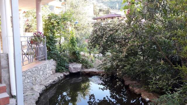 Гостевой дом Лавровый Сад Алупка-6