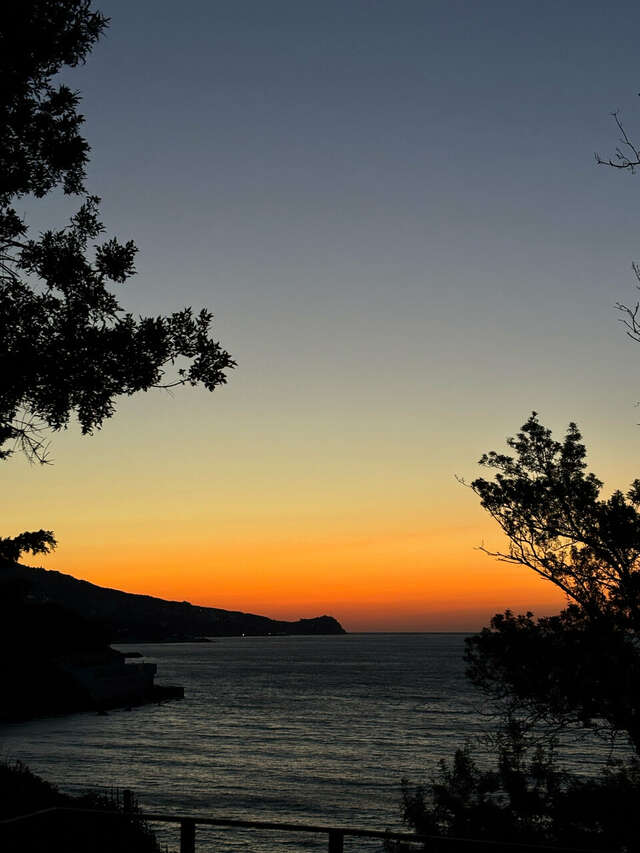 Гостевой дом Лавровый Сад Алупка-199
