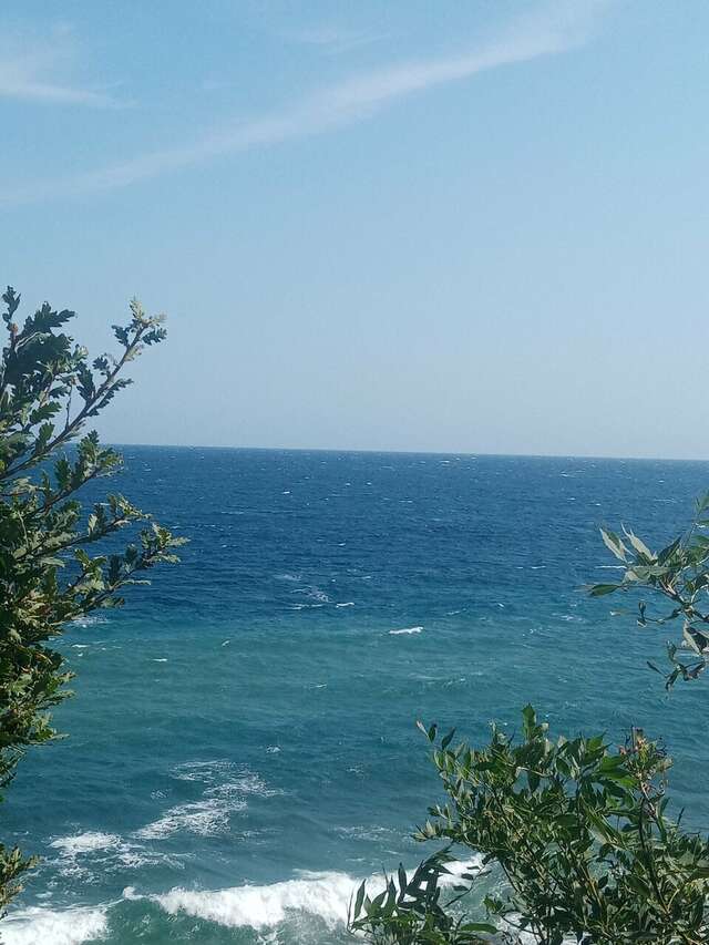 Гостевой дом Лавровый Сад Алупка-233