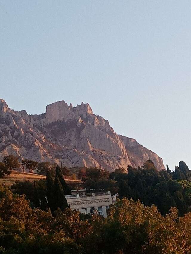 Гостевой дом Лавровый Сад Алупка-217