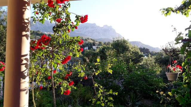 Гостевой дом Лавровый Сад Алупка-57