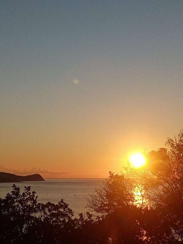 Гостевой дом Лавровый Сад Алупка-221