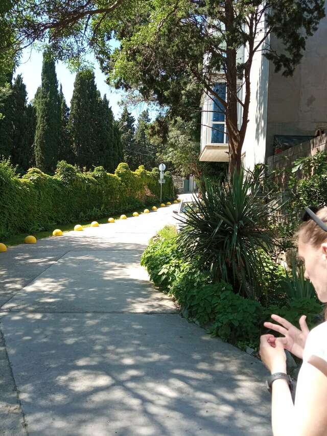 Гостевой дом Лавровый Сад Алупка-59