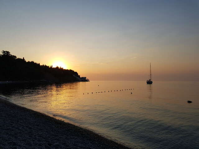 Гостевой дом Лавровый Сад Алупка-214